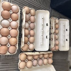 Nice Eggs