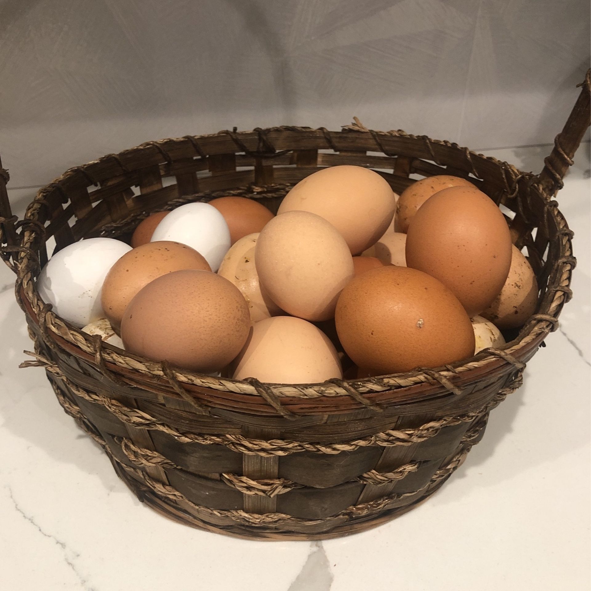 Organic Eggs