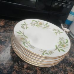 China Plates Snow Rose