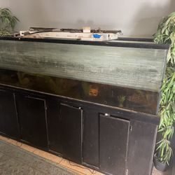 220 Gallon Aquarium