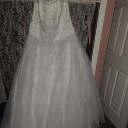 Wedding Dress And Veil 