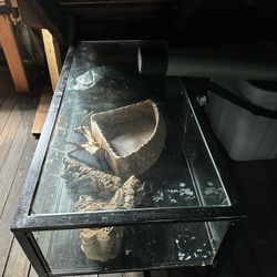 Coffee Table Tank 