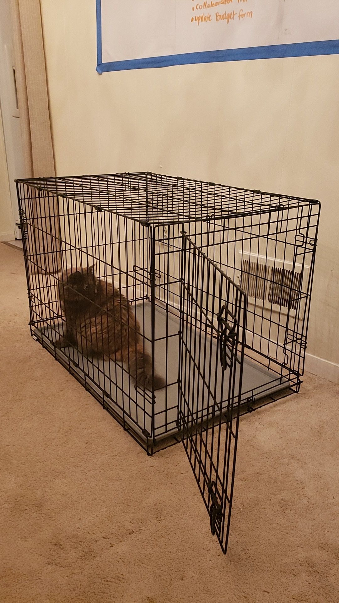 Dog crate 36x22"