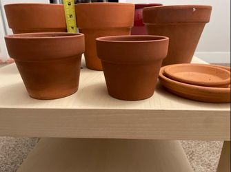 5 terracotta pots & 2 plates