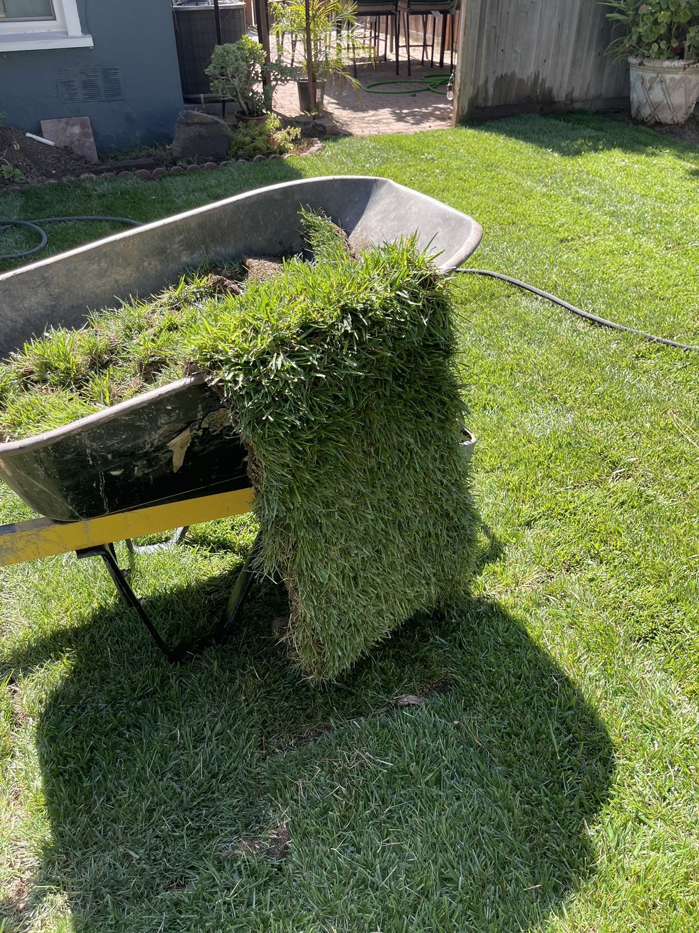 Sod And Sprinklers $3 Per Sq Ft