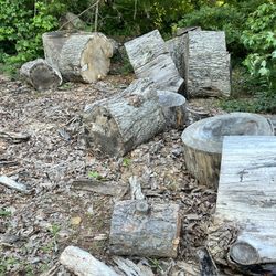Firewood