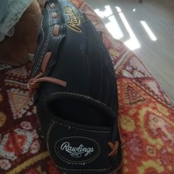 Rawlings Baseball Glove