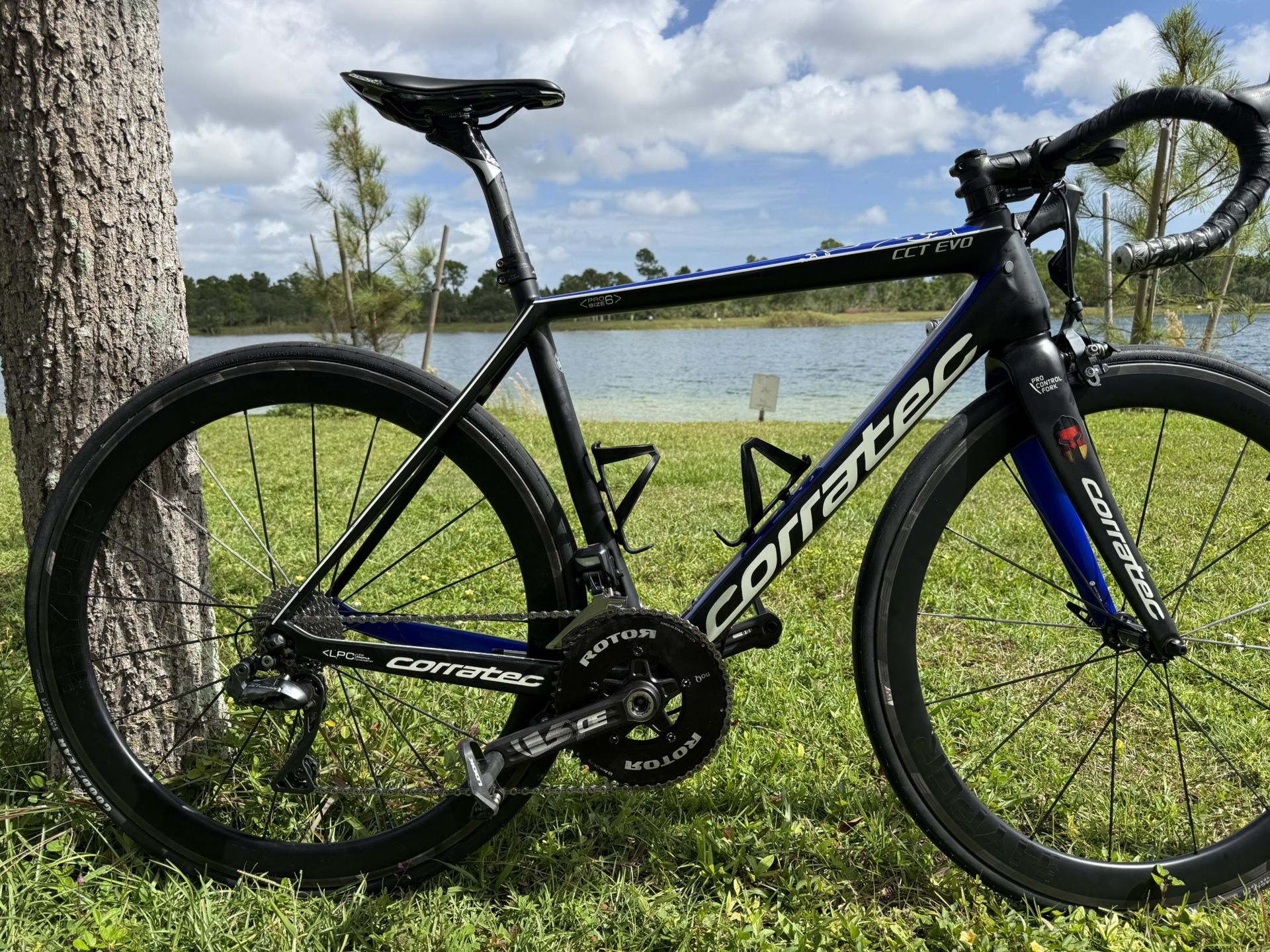 🚴Corratec CCT-EVO Carbon Road Bike (51) 🇩🇪