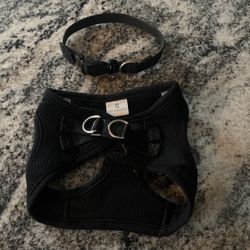 Puppy/small Dog Harness And Collar 