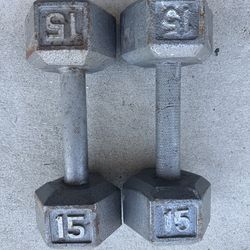 15LB Dumbbells