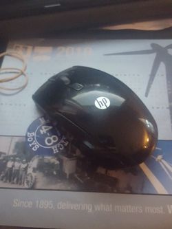 Mouse