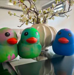 Squeezy Duck
