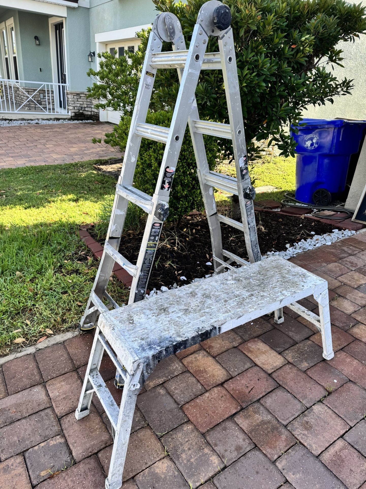 Ladder and work platform