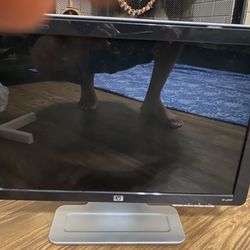 HP W2007 Monitor