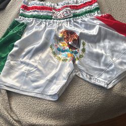 Boxing/ Muay Thai / Kick Boxing Shorts