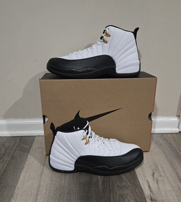 Jordan 12 Taxi
