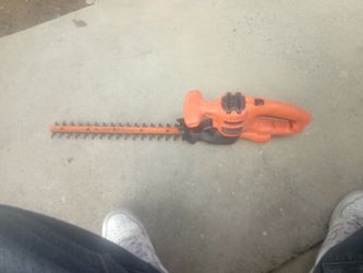 Electric Hedger