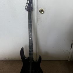 Carvin Bass