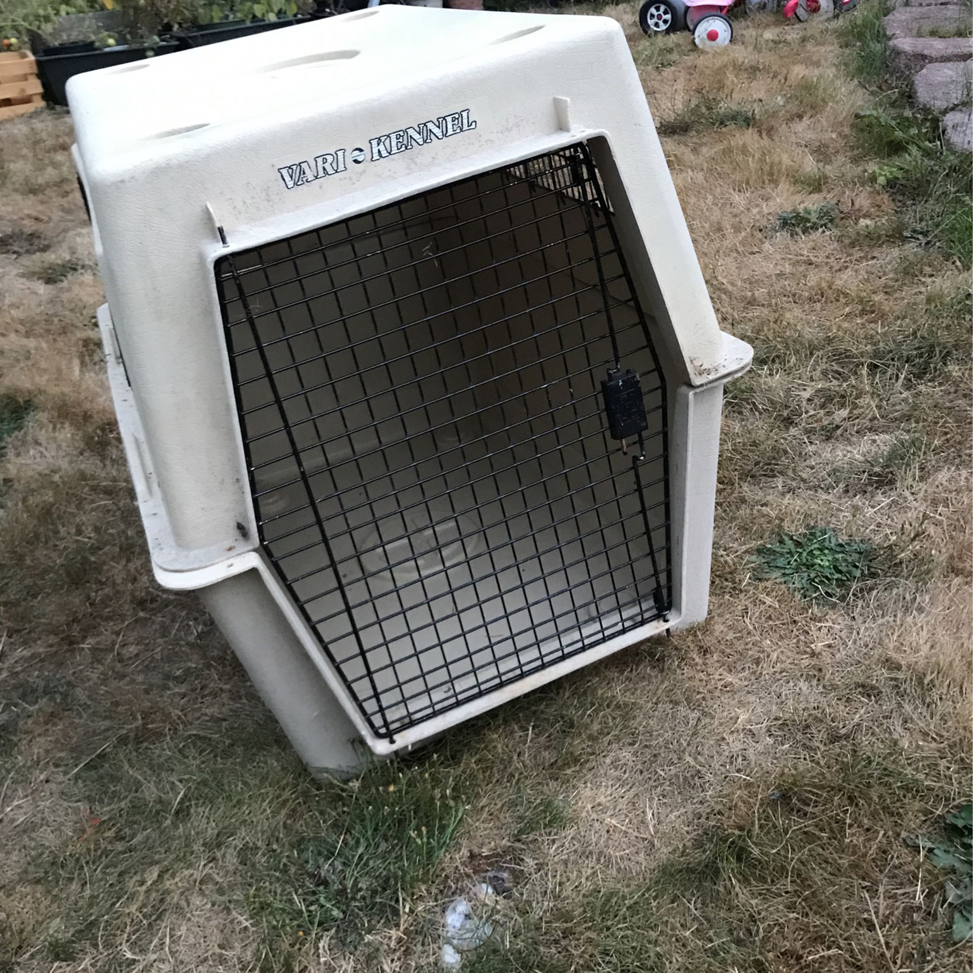 Large dog Kennel   L37   W  M27 H 30 IncPrice 30$  Pickup    E    72nd    Tacoma 