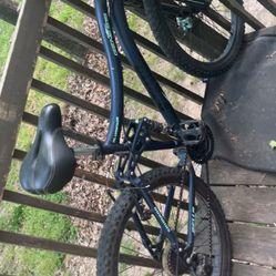 24” genesis bella mountain bike