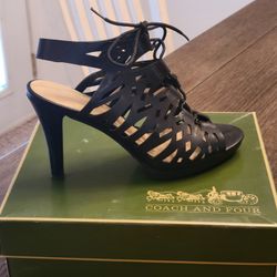 Snazzy Shoes