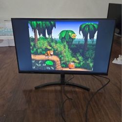 Acer Monitor (Good Condition)