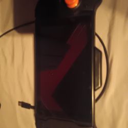 Nintendo Switch(Custom Controller)