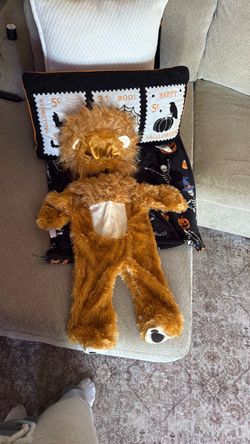 Lion costume