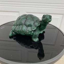 The Happy Turtle 