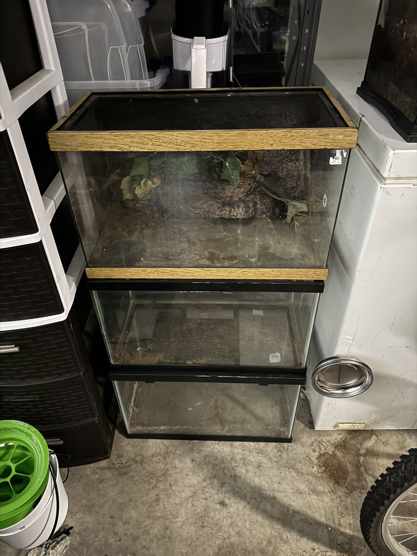 20 Gallon Tanks