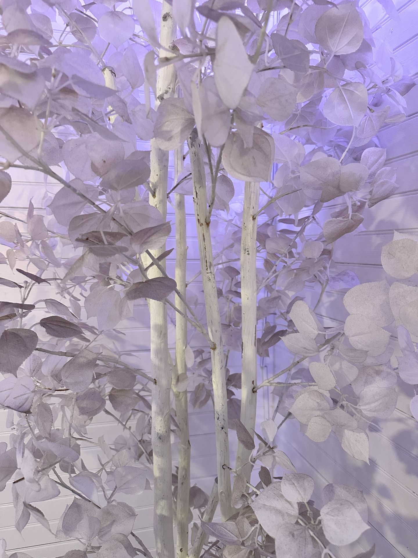 Z Gallerie Faux Aspen Tree