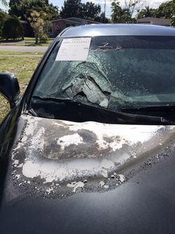 2007 Lexus IS 250 rebuildable title