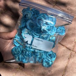Dried Flowers (different Colors) 