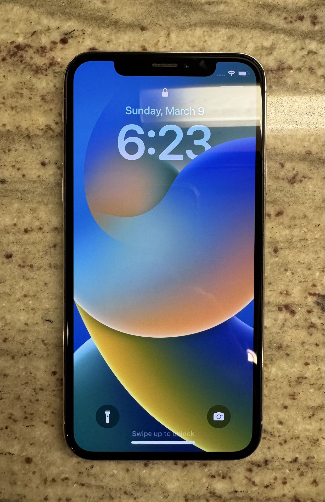 Apple iPhone X - 64GB Silver & Case