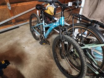 Free Kids Bike 24 in