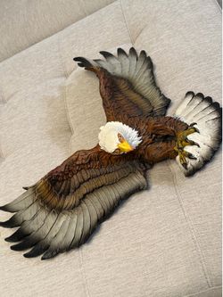 American bald eagle By W. Ray Bosons England