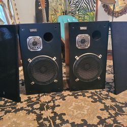 Vintage Yamaha NS-500 