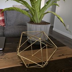  Hexagon Geometric Shapes