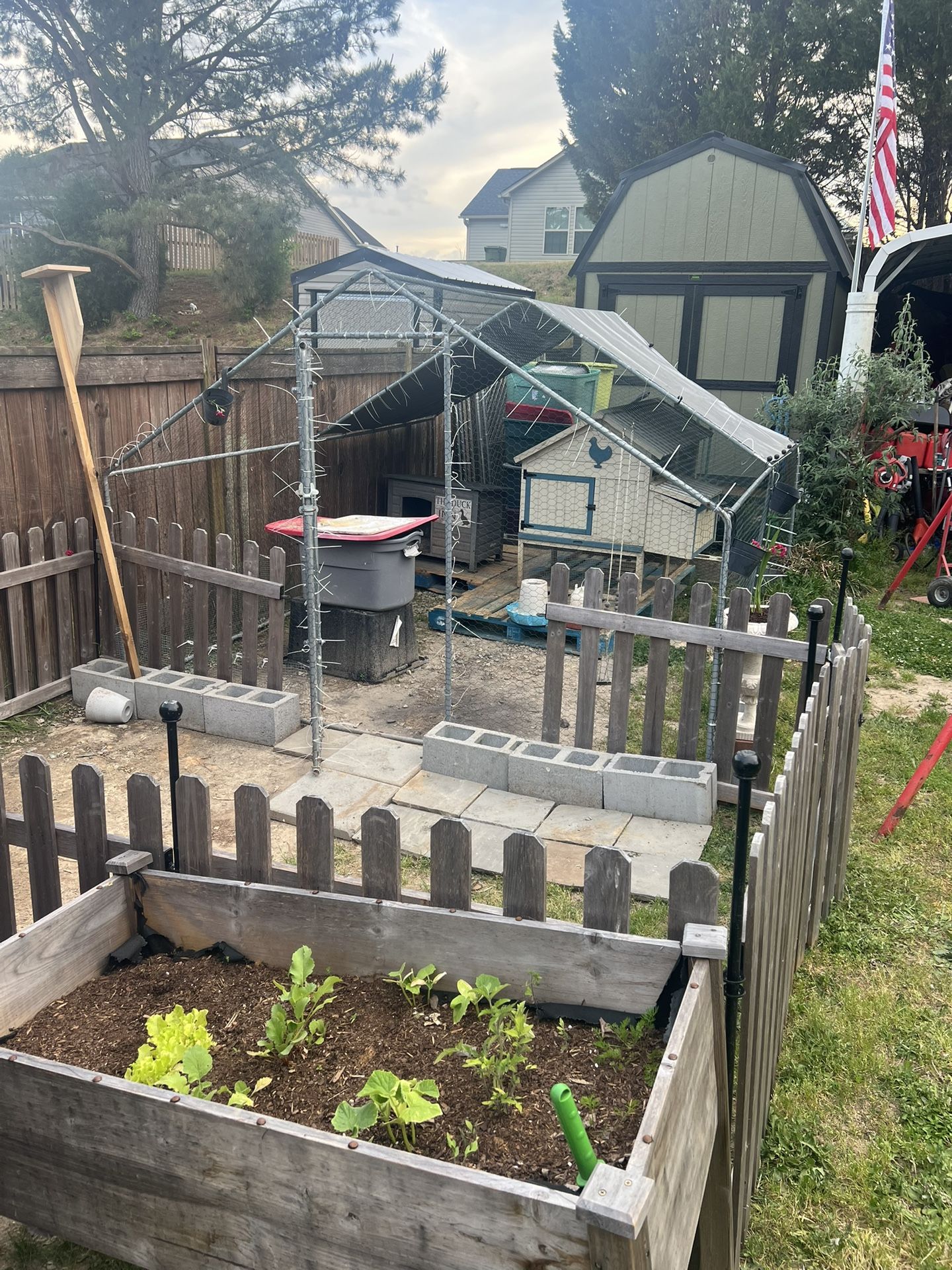 Chicken Coop And Fence