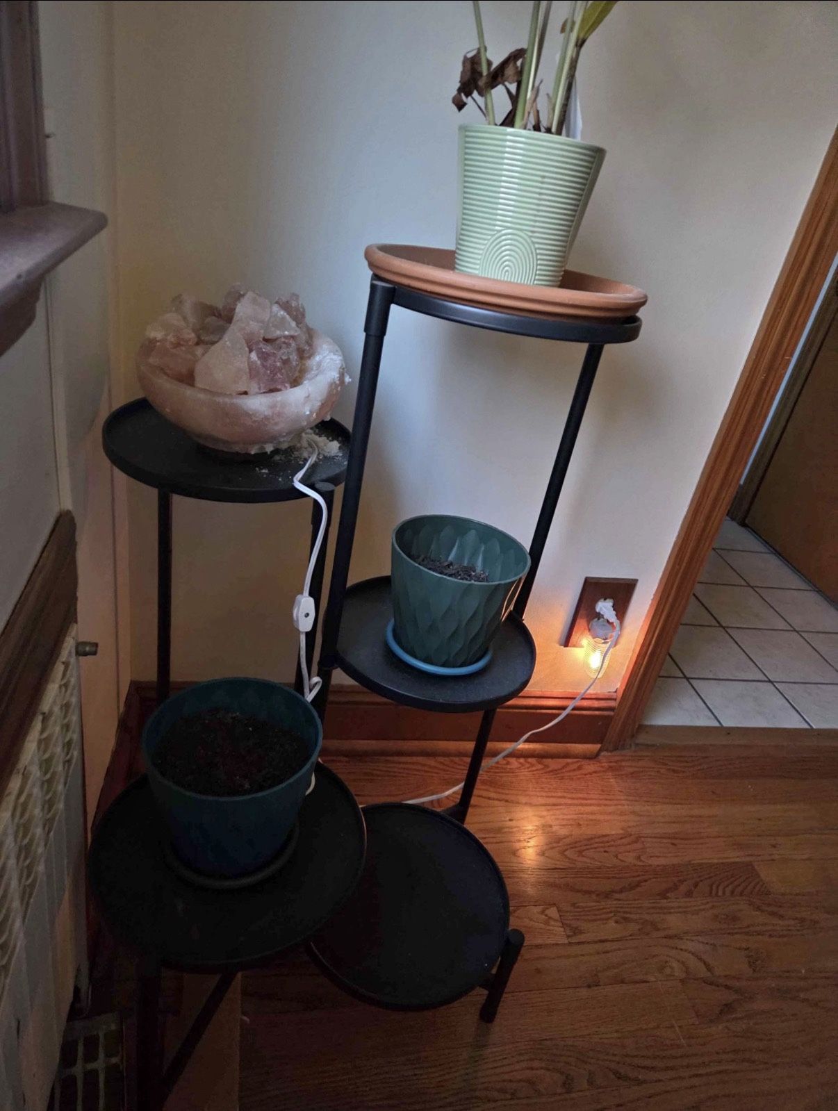5 tier collapsible plant stand