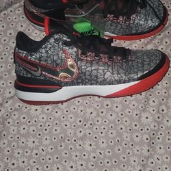 LEBRON JAMES NIKE ZOOM NXXT GEN 