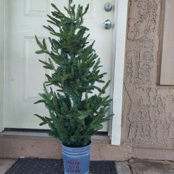 Christmas Tree,  4 Ft Tall, Come A Part In The Middle, Indoor/Outdoor,  Like NEW