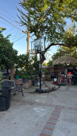 Basketball Hoop