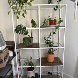 IKEA Vittsjo White Shelf Unit Glass Metal Plant Shelves