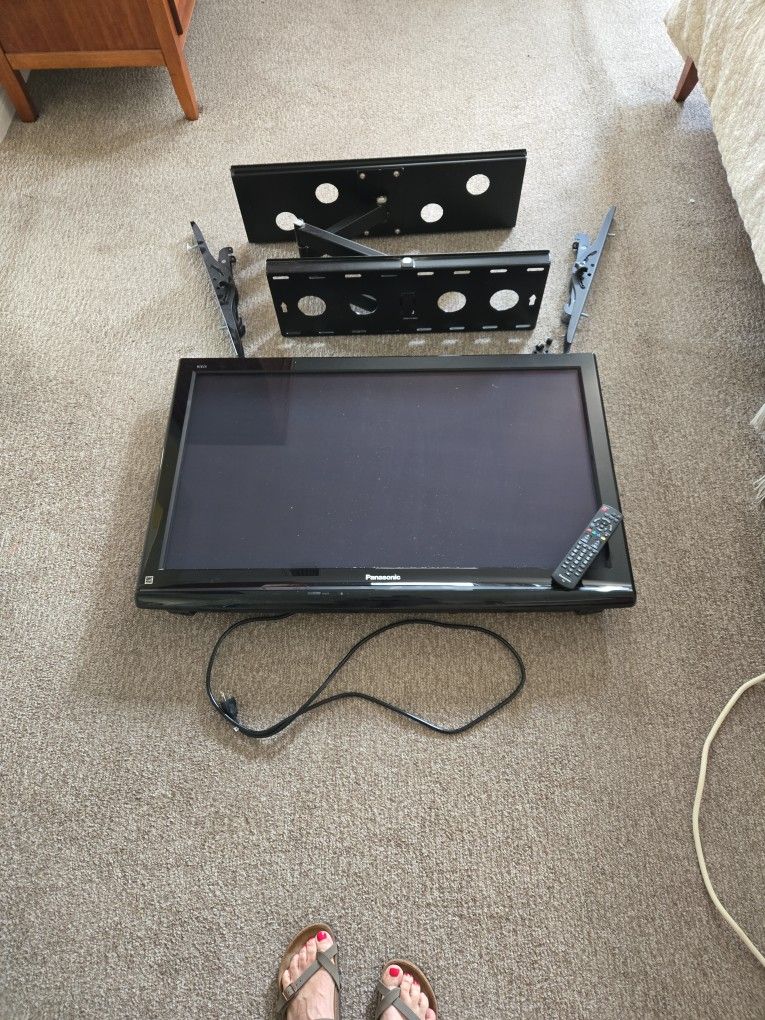 41" Panasonic VIEJA TV and heavy duty mount