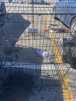Dog Cage