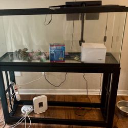 55 Gallon Fish Tank W Stand And Set Up