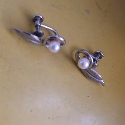 Sterling Silver Earrings