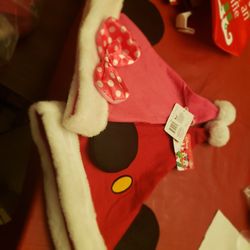 Mickey and minnie mouse santa hats