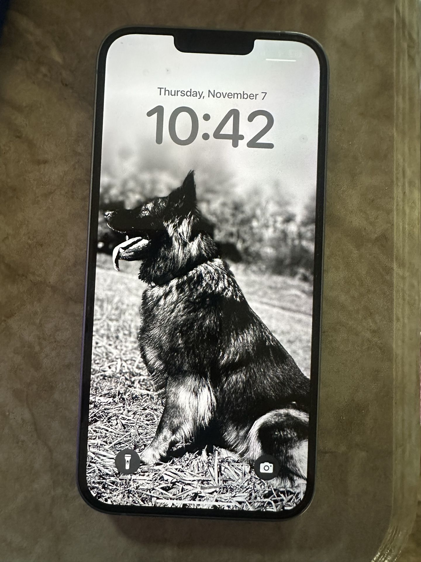 iPhone 14 Plus
